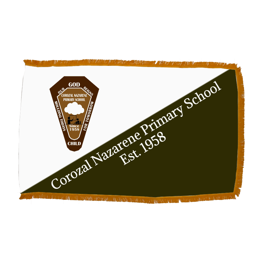 Custom Indoor Flag