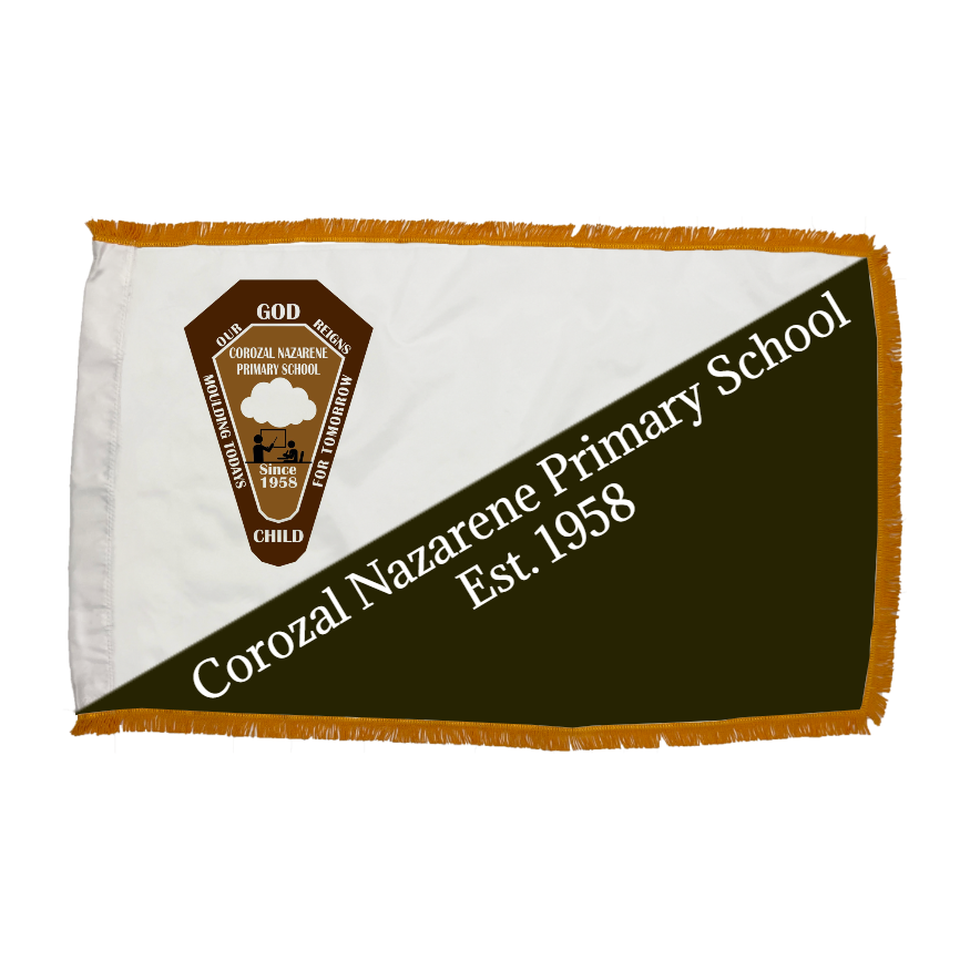 Custom Indoor Flag